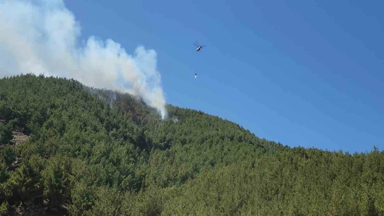 Hatayda orman yangını havadan müdahaleyle kontrol altına alındı