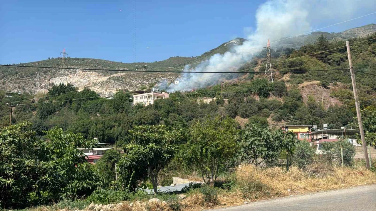 Hatayda ormanlık alanda çıkan yangın söndürüldü