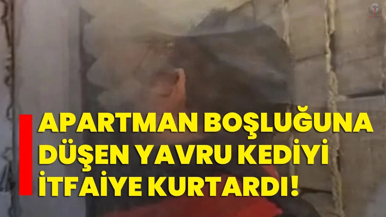Havalandırma boşluğuna düşen kediyi itfaiye kurtardı