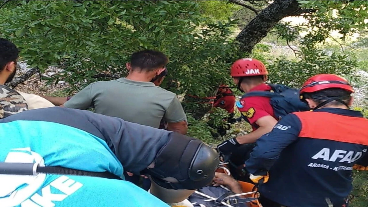 Ihlamur toplarken kayalıklardan düşen emekli polis hayatını kaybetti