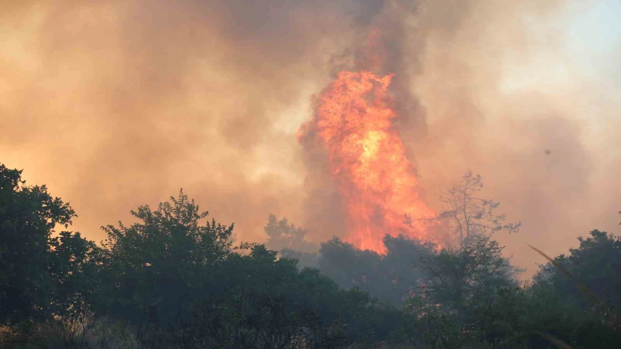 İzmirdeki orman yangını haberlerini izlerken alevleri kapısında buldu