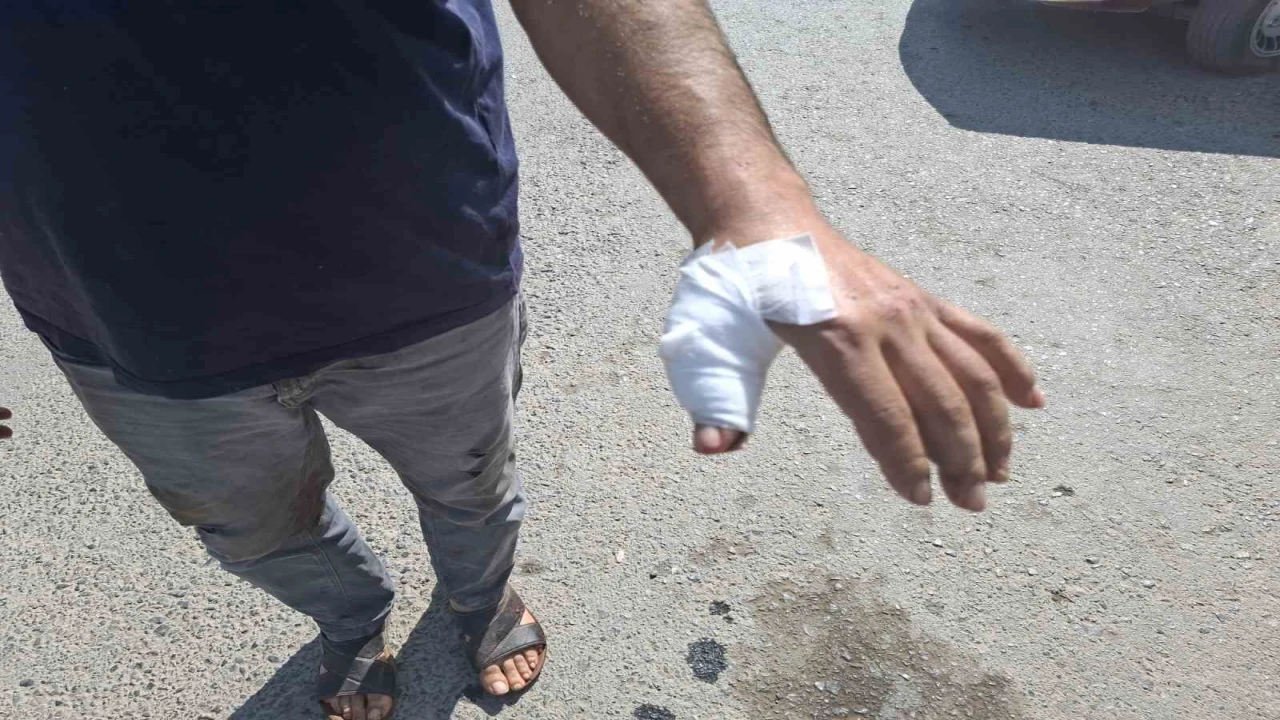 Kahramanmaraşta acemi kasaplar hastaneye koştu