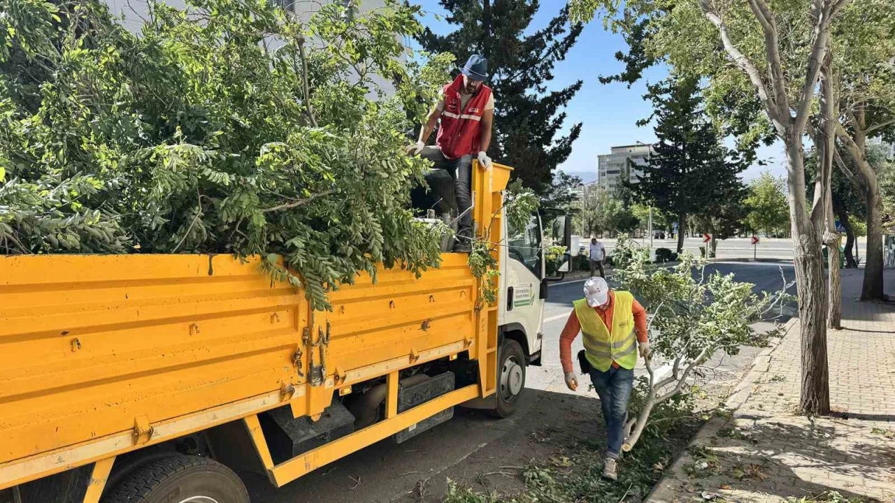 Kahramanmaraşta fırtınanın oluşturduğu hasar ortadan kaldırılıyor