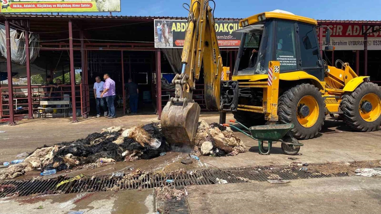 Kahramanmaraşta hayvansal atıklar temizlendi