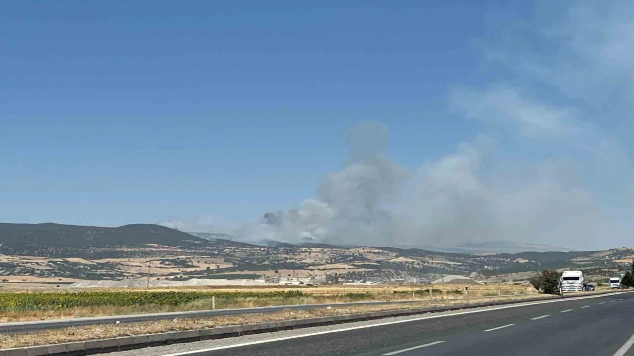 Kahramanmaraşta ikinci orman yangını