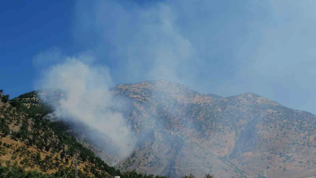 Kahramanmaraşta orman yangını