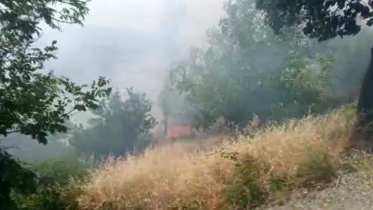 Kahramanmaraşta orman yangını büyümeden söndürüldü