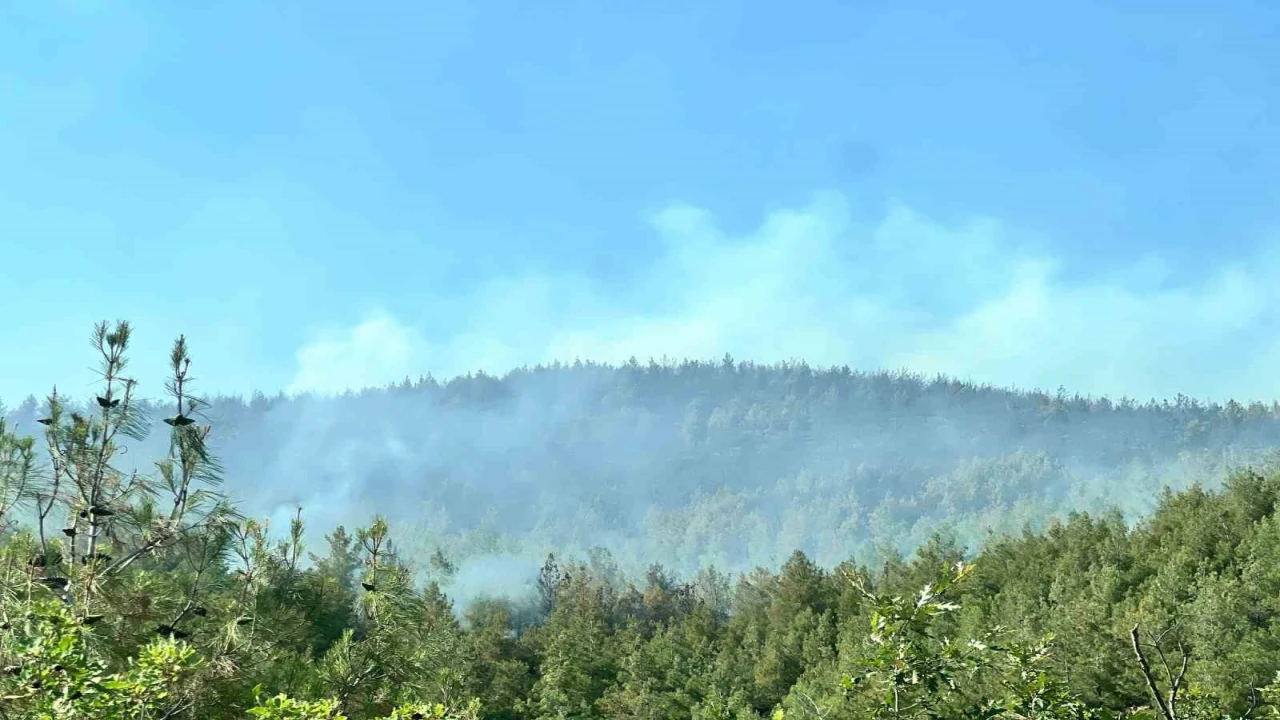 Kahramanmaraştaki ikinci orman yangını da kontrol altında