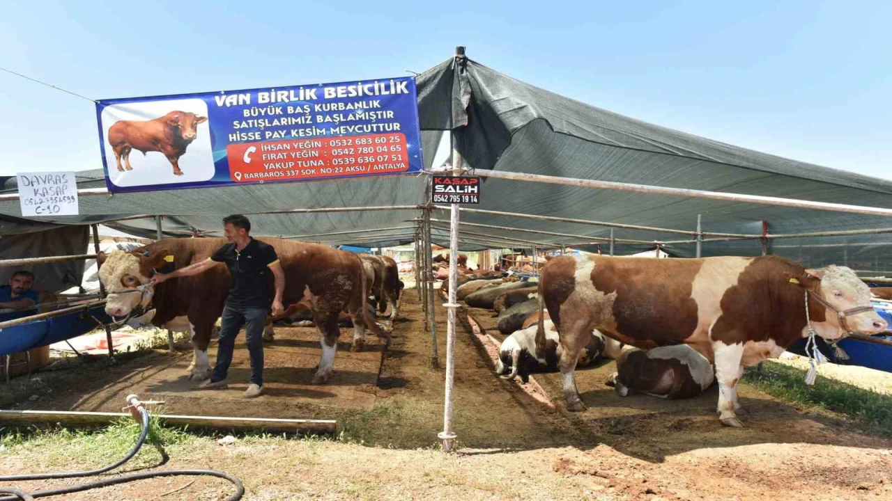 Kepezde 9 noktada kurban kesim alanı