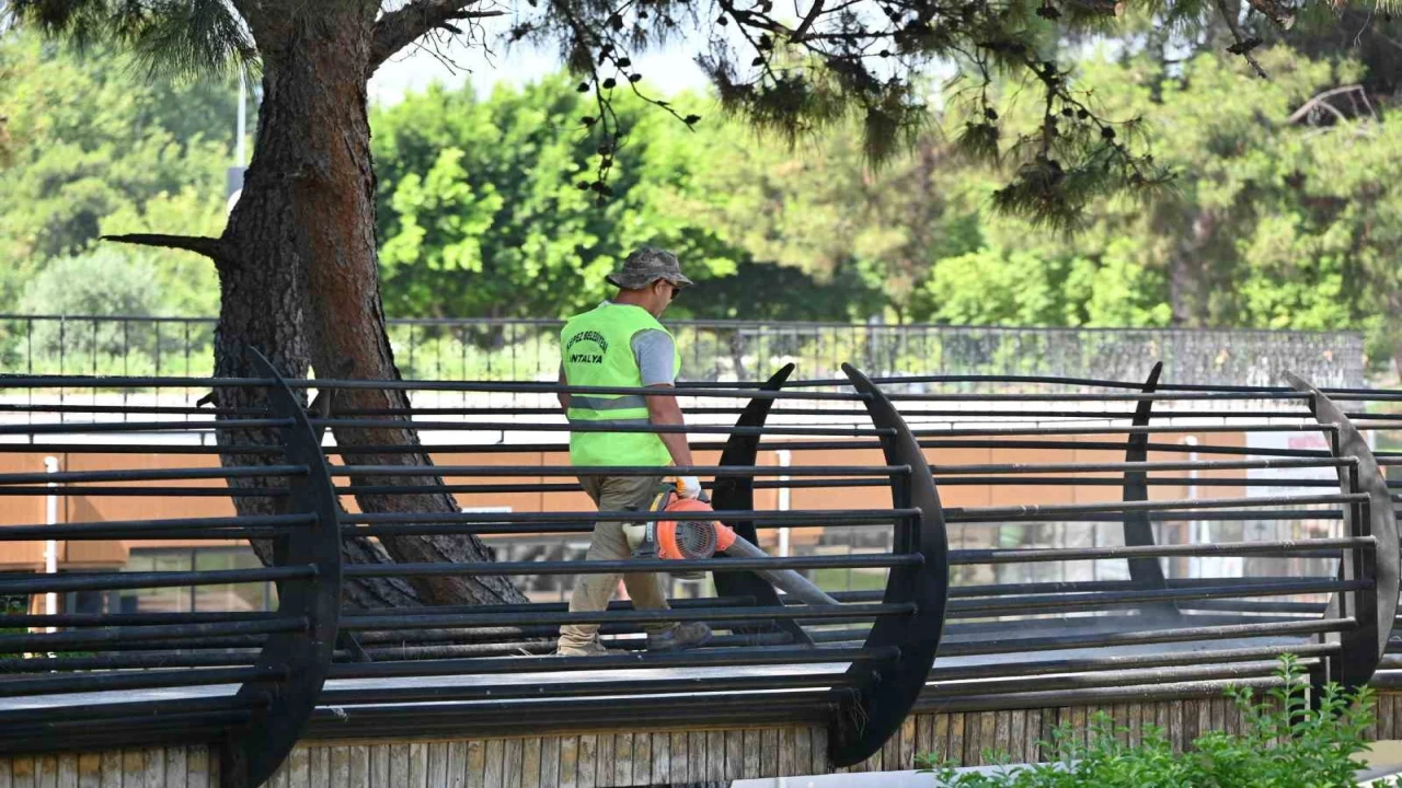 Kepezde Tek Sarnıç Parkında temizlik seferberliği