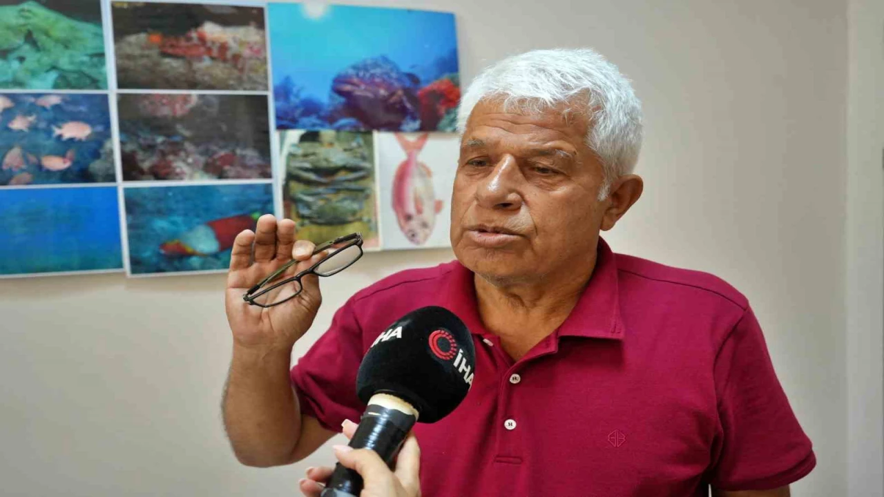 Köpek balıklarına yapılan gösteri işkencesine uzman uyarısı: Ekosistemi bozuyor, korku yayıyor 