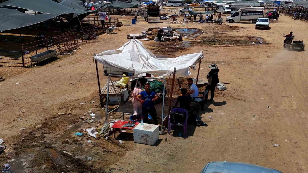 Kurbanlık fiyatları yüzde 40 düştü