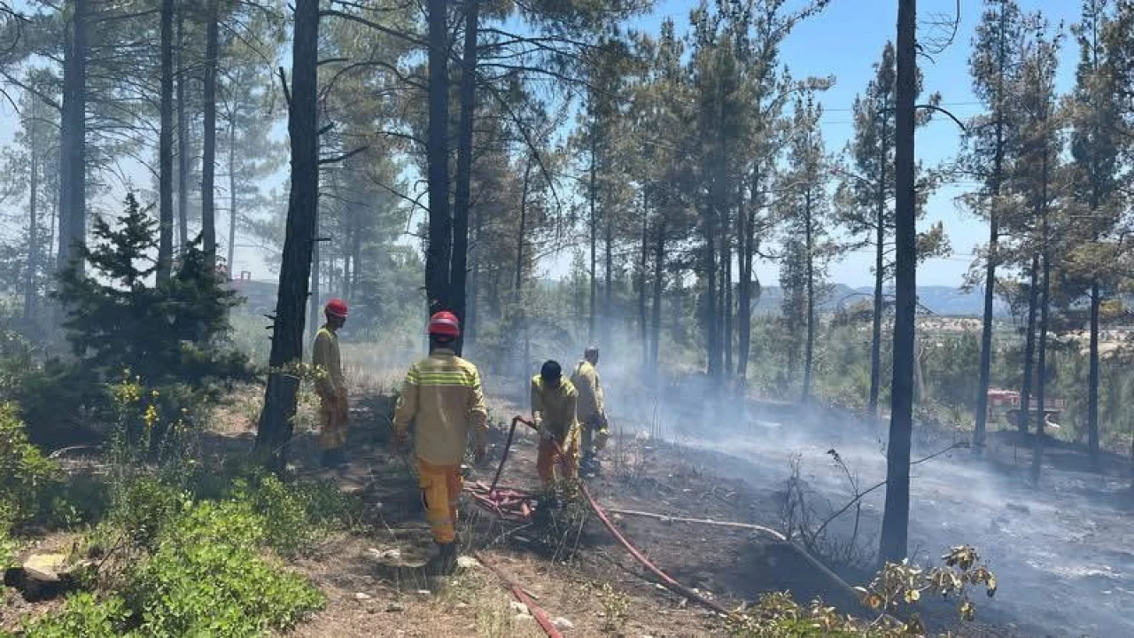Mersin Gülnarda orman yangını söndürüldü