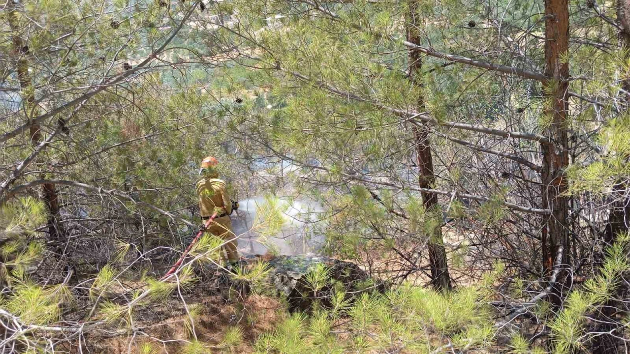 Mersin Mutta orman yangını