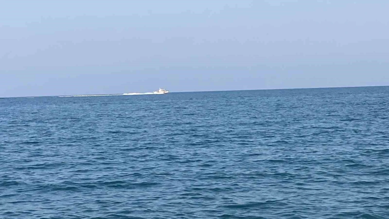 Mersinde köpekbalığı tedirginliği