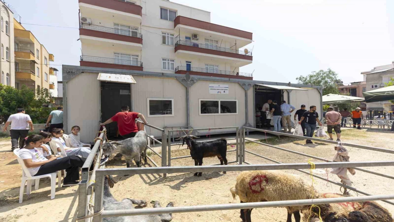 Mersinde kurban kesimi hem hijyenik hem ücretsiz