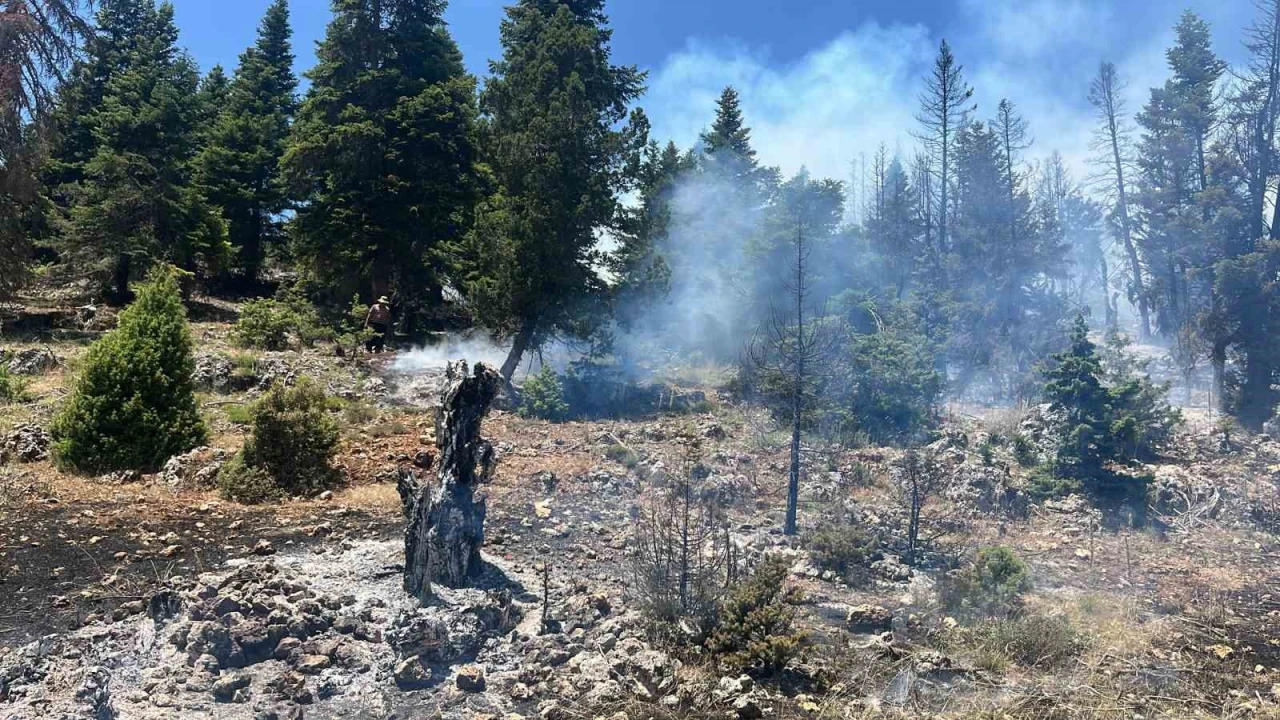Mersinde orman yangını, ekipler müdahaleye başladı