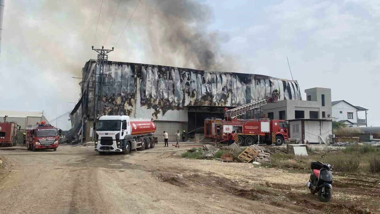 Mersinde pamuk fabrikasında yangın, ekipler müdahale ediyor