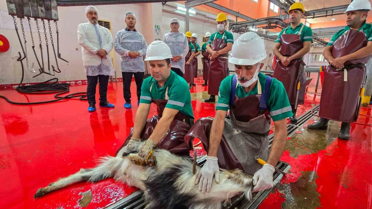Mersinde şehitlerin anısına kurban kesildi