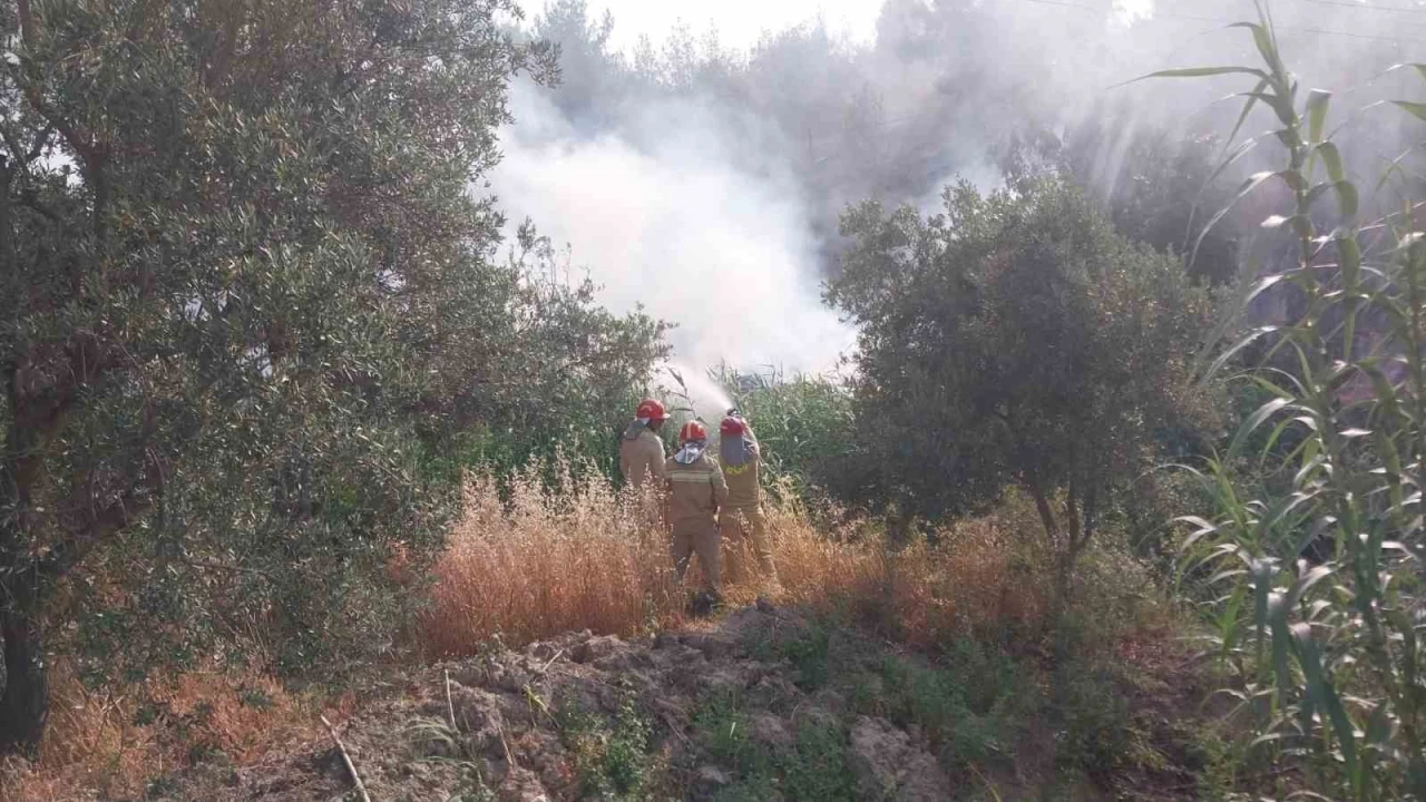 Mersinde tarım arazisinde çıkan yangın korkuttu