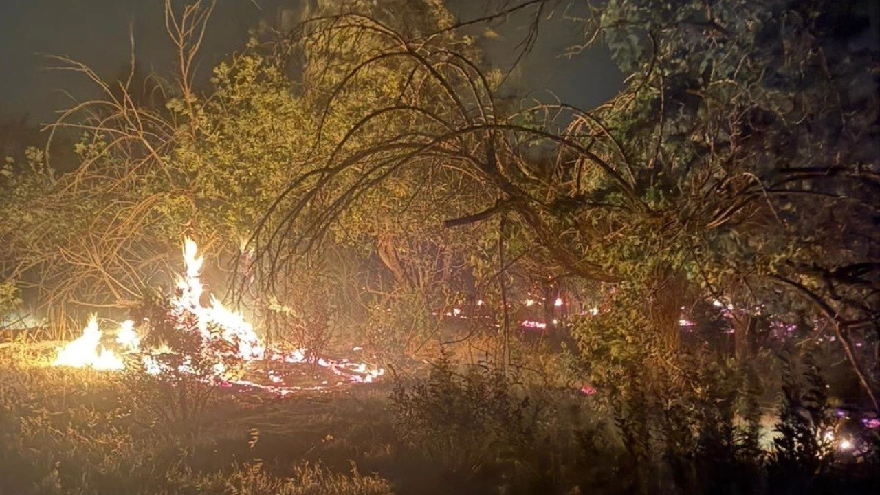 Mersinde üç noktada çıkan yangın kontrol altına alındı