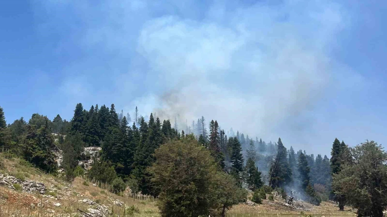 Mersindeki orman yangını söndürüldü