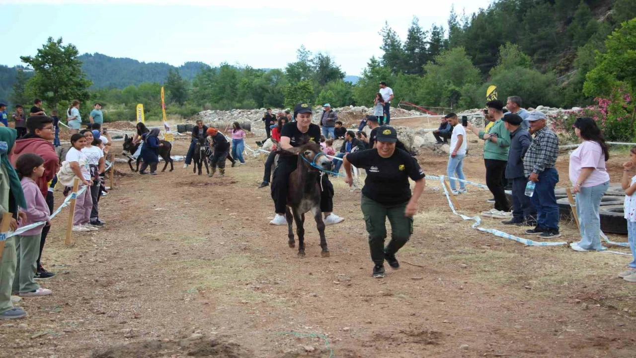 Motokros yarışında motosikletle birinci, diğer yarışmada eşekle sonuncu oldu