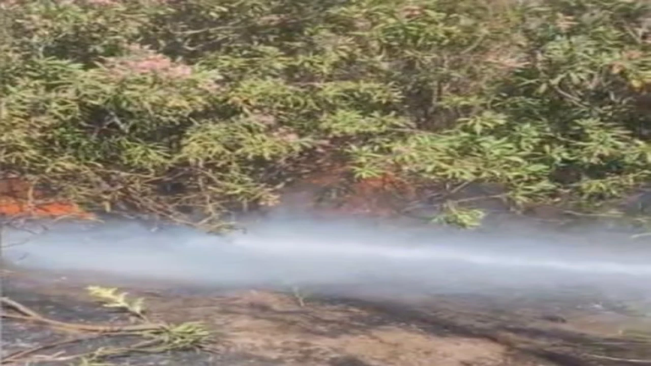 Osmaniyede çalılık alanda çıkan yangın söndürüldü