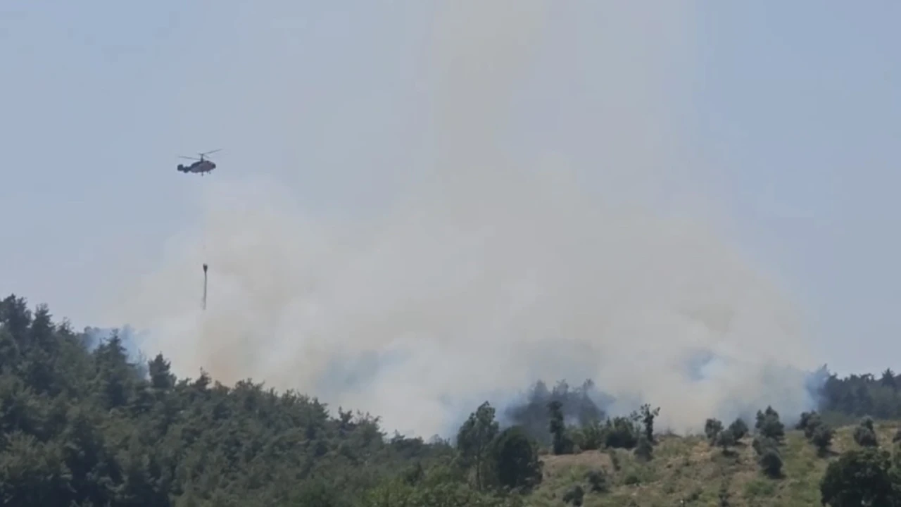Osmaniyede çıkan orman yangını söndürüldü