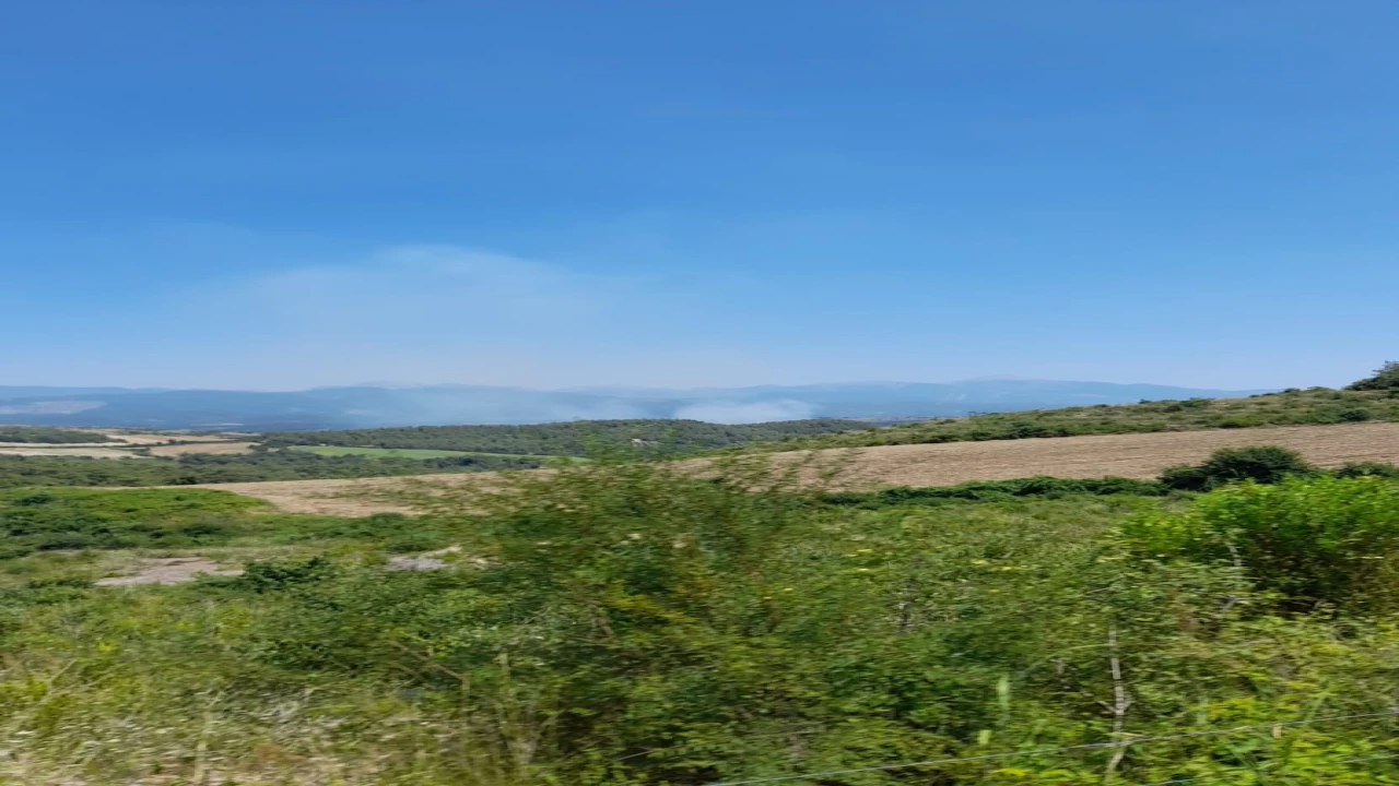 Osmaniyede orman yangını başladı