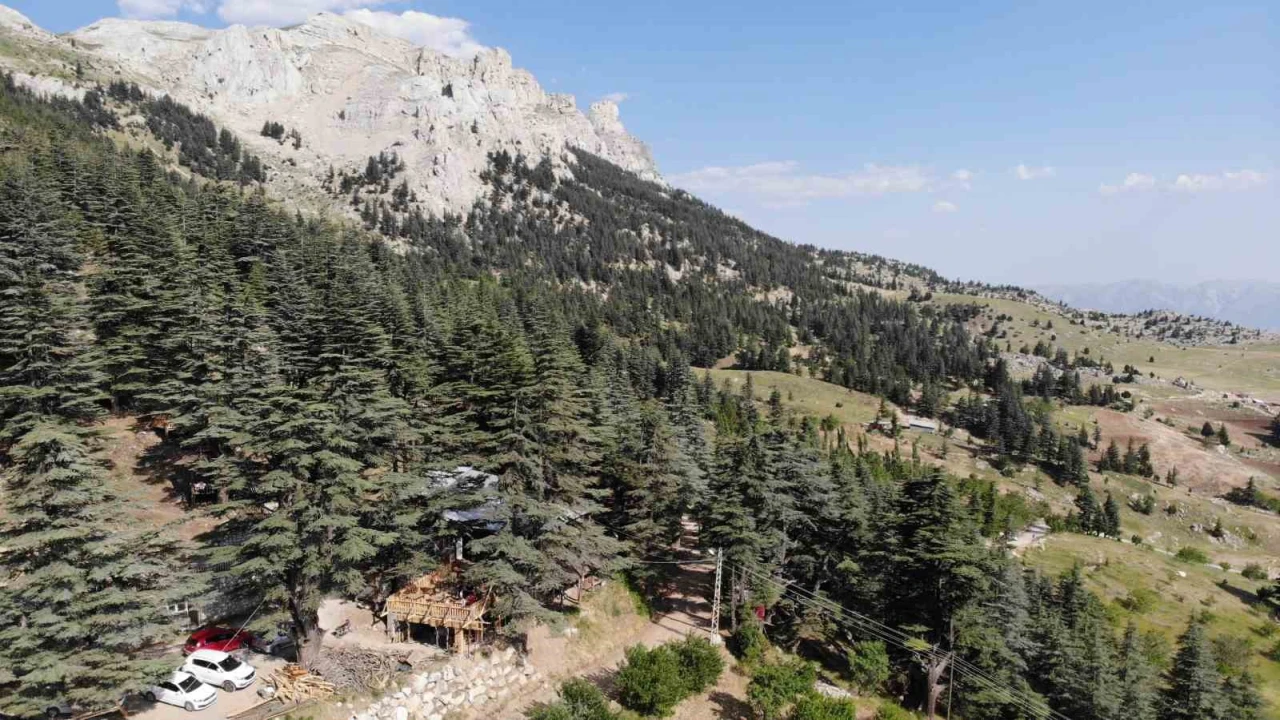 Sıcaklardan kaçanların adresi, Ilıcanın yeşil kalbi: Halimin Gölü