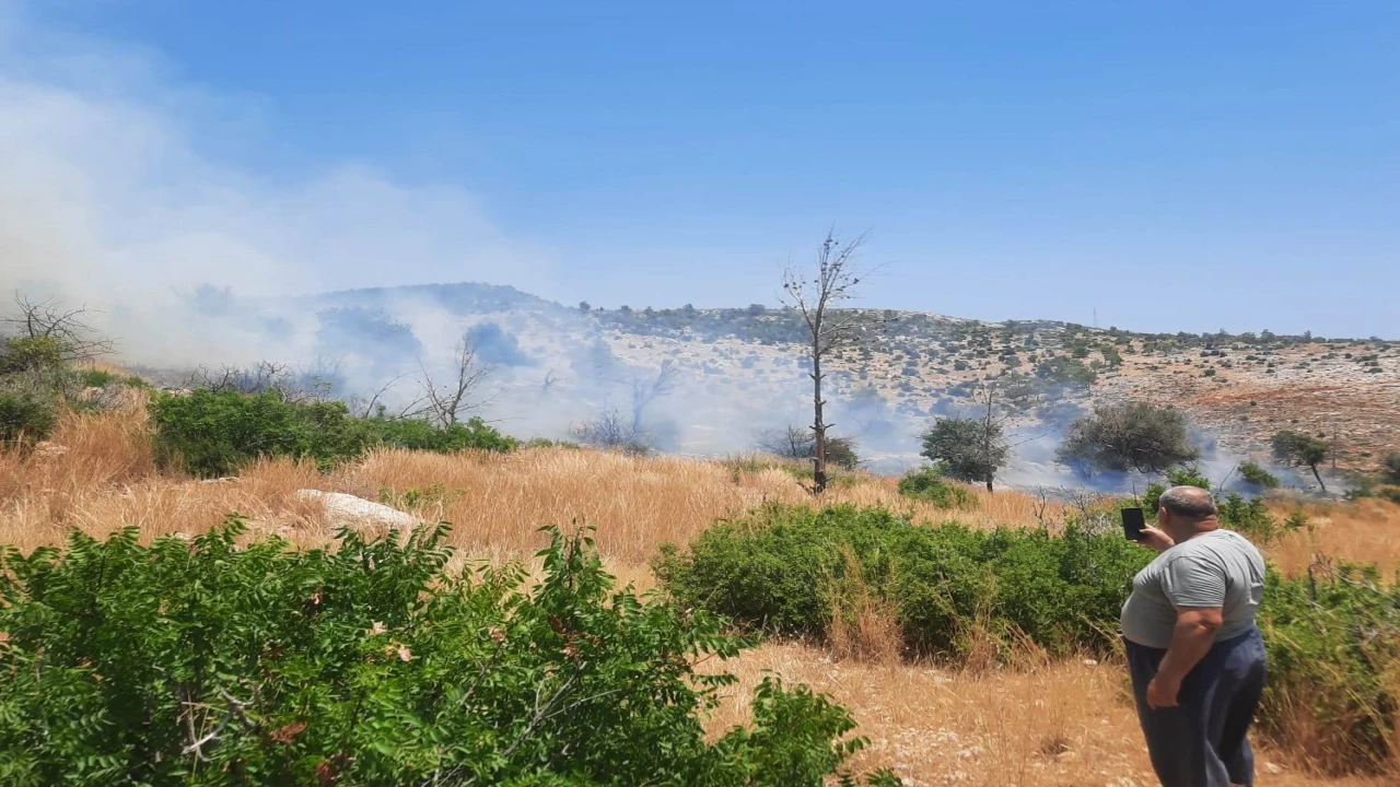 Silifkede ağaçlık alanda çıkan yangın kontrol altına alındı