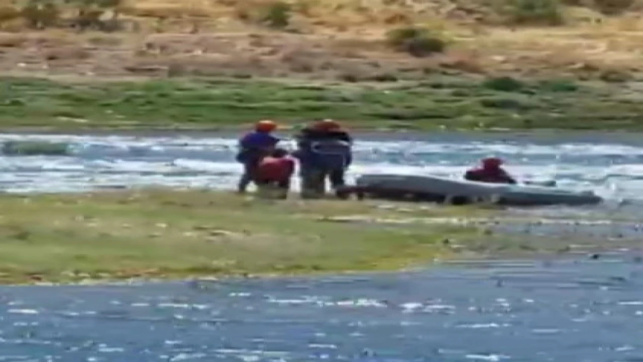 Sır Barajında adada mahsur kalan 3 çocuk ve 2 köpek kurtarıldı