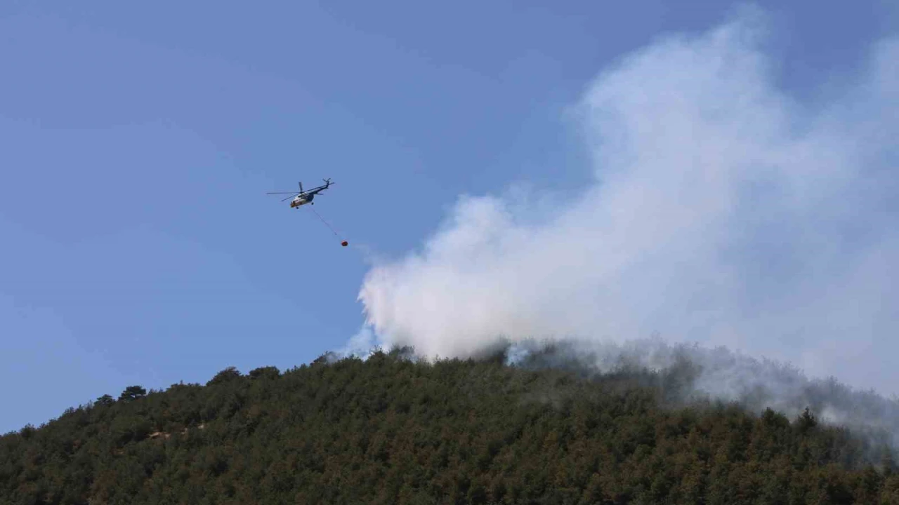 Yakılan anız, orman yangınına neden oldu: Müdahale sürüyor