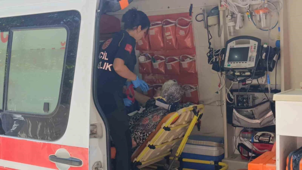 Yaya geçidinde kamyonetin çarptığı yaşlı kadın yaralandı