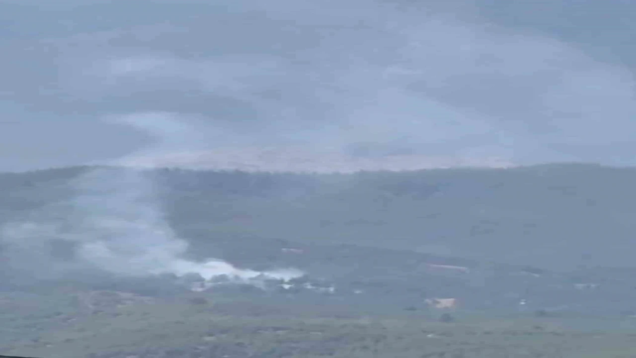 Adana Aladağda orman yangını çıktı