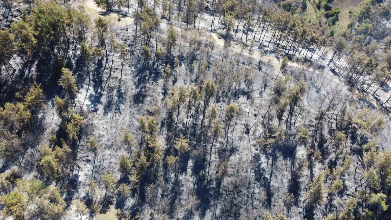 Adanada 14 saatte 250 hektar orman yandı, acı bilanço havadan görüntülendi