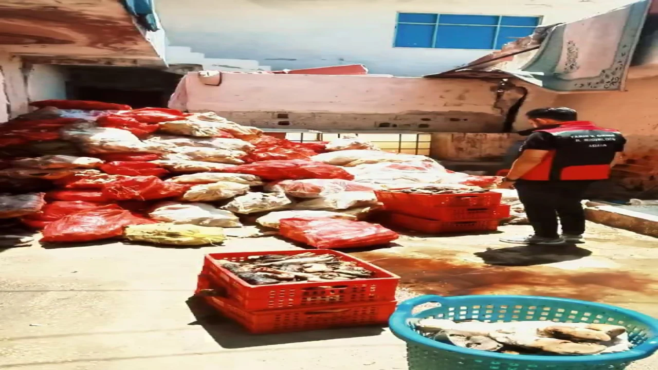 Adanada binlerce kilo paça ele geçirildi