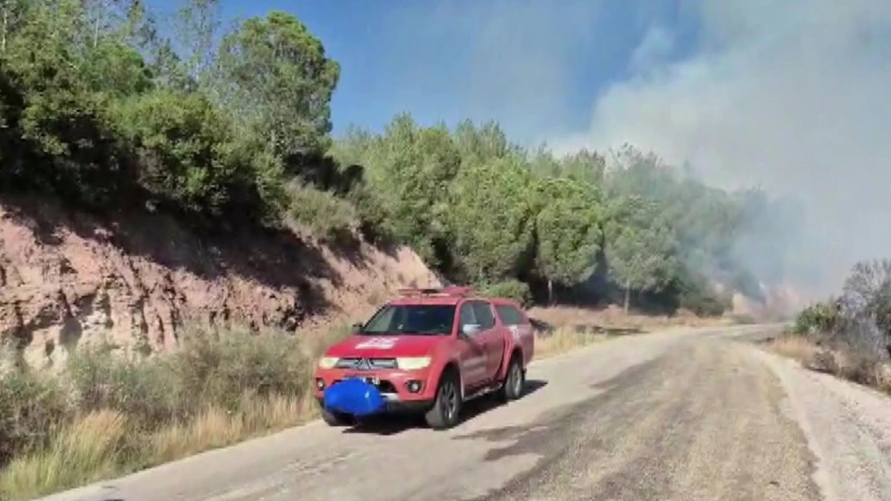 Adanada orman yangını