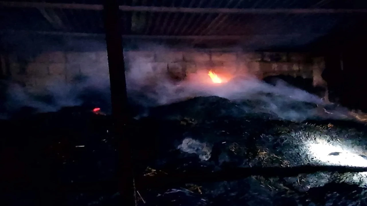 Adanada yangında 5 inek telef oldu