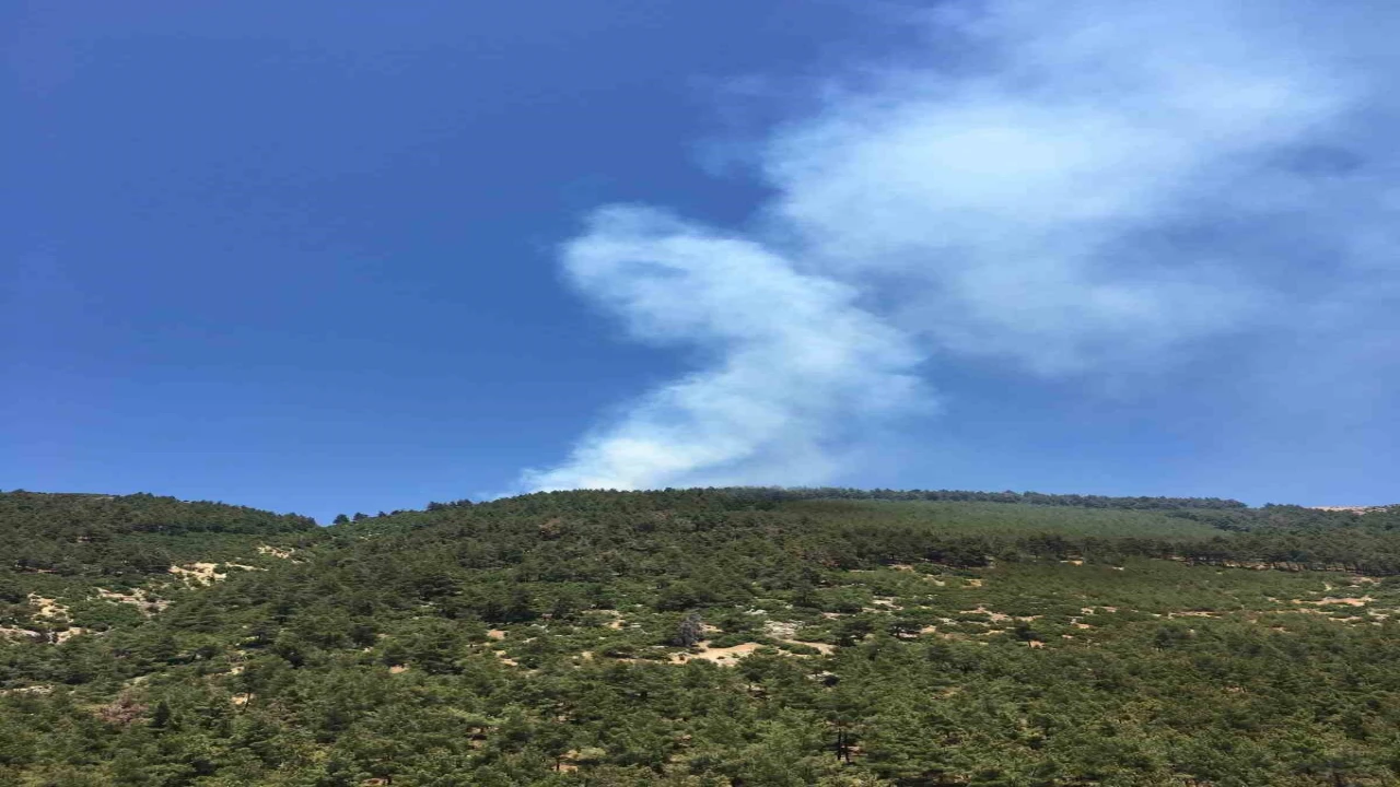 Ahır Dağında bahçe yangını