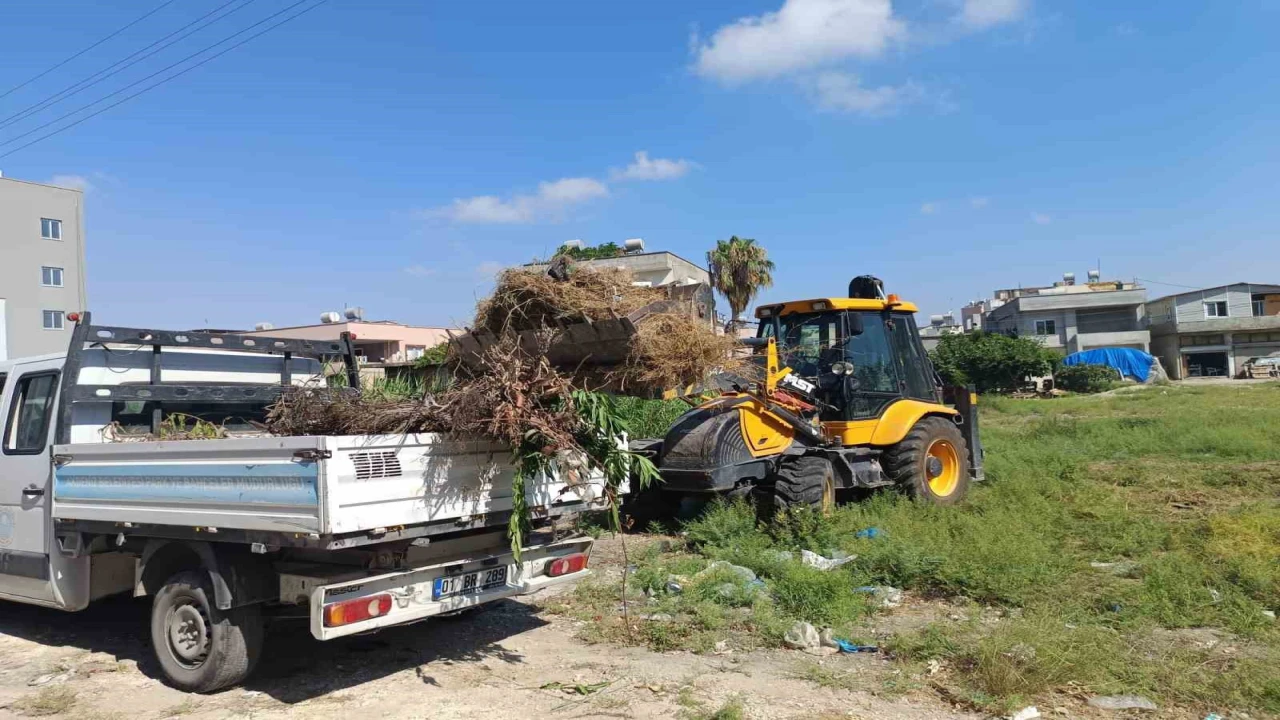 Akdenizde moloz ve yabani ot temizliği sürüyor