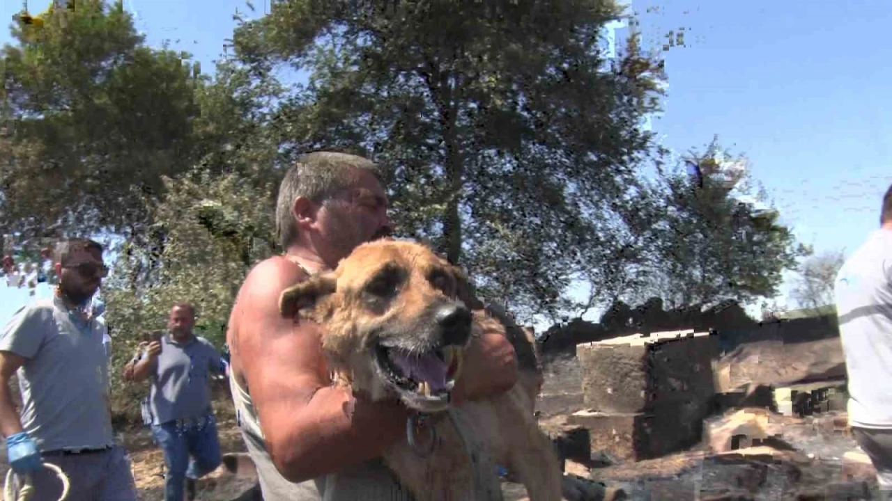 Aksuda yürek yakan yangında evler hasar gördü, hayvanlar telef oldu