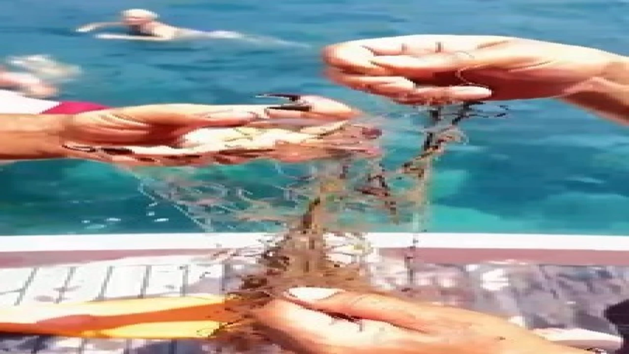 Alanyada ağa takılan yengeçler kurtarıldı