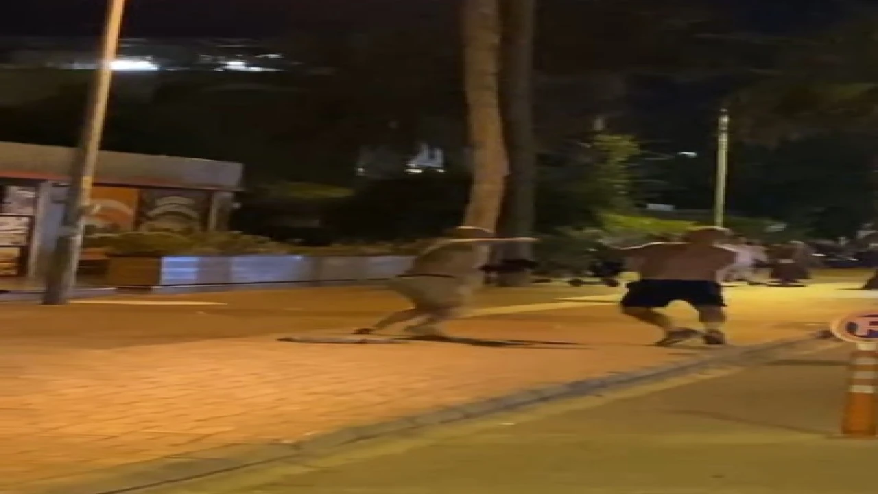 Alanyada Rus turistlerin yumruklu kavgası kamerada