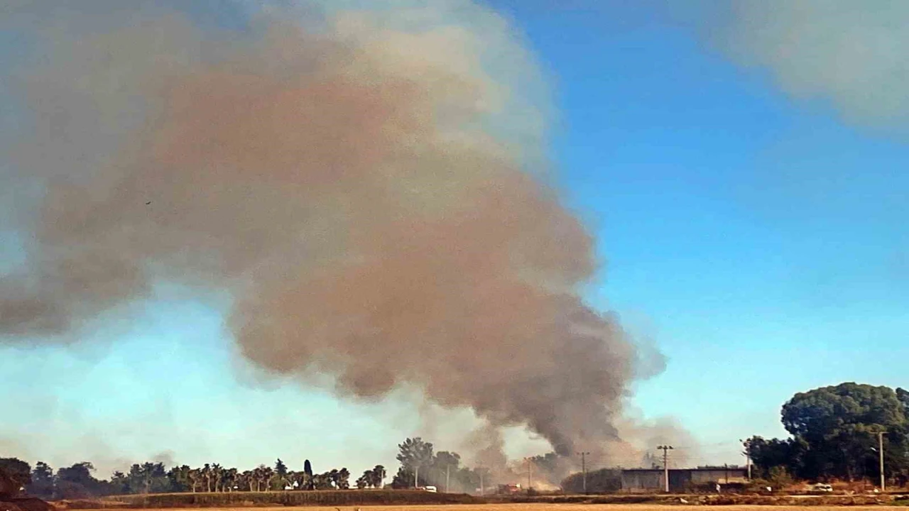 Antalyada 3 farklı noktada çıkan yangın, 2 saatte kontrol altına alındı