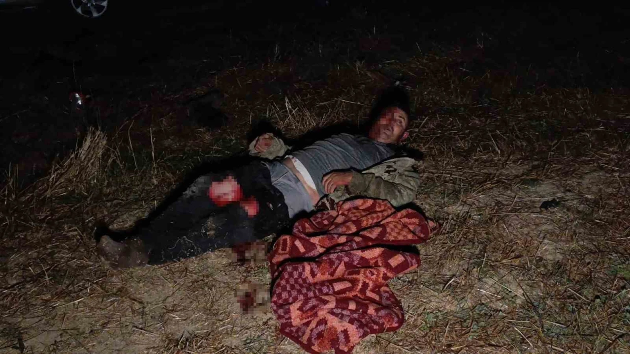 Antalyada aslanın kaçtığı hayvanat bahçesinin denetimi sürüyor