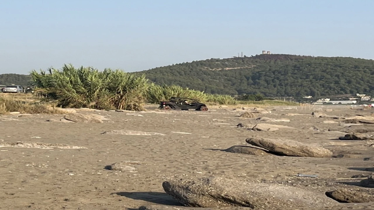 Antalyada caretta caretta yuvaları zarar gördü