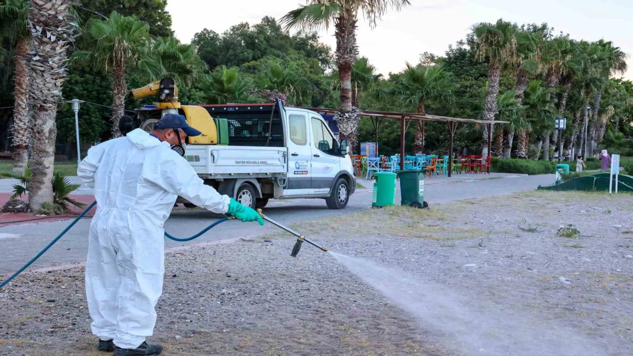 Antalyada haşerelere karşı mücadele çalışmaları mesire alanlarında da sürüyor