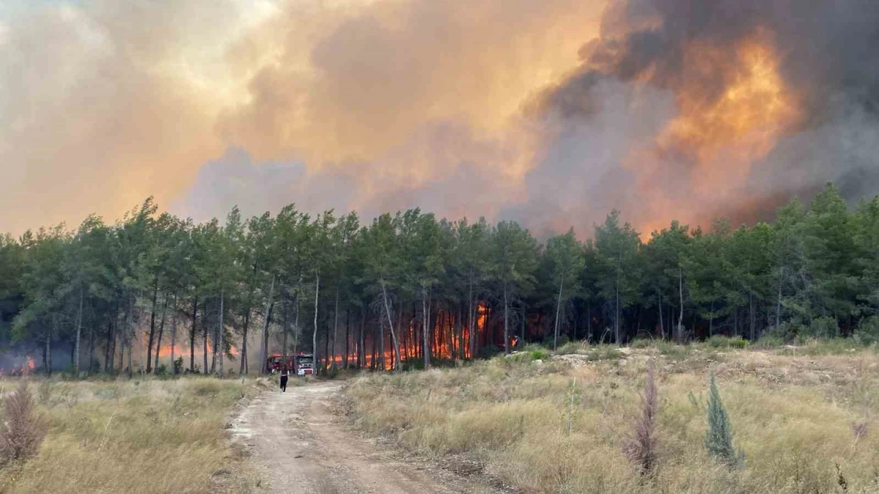 Antalyada orman yangını